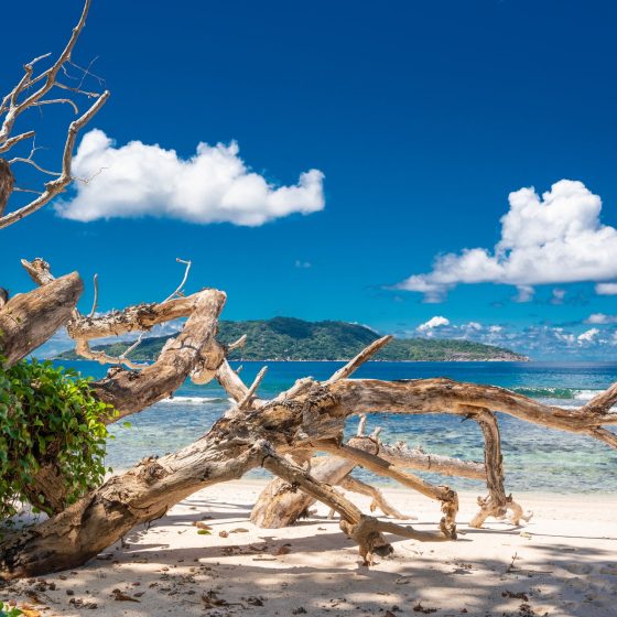 Anse Banane aux Seychelles sur La Digue - Alizes Kreol
