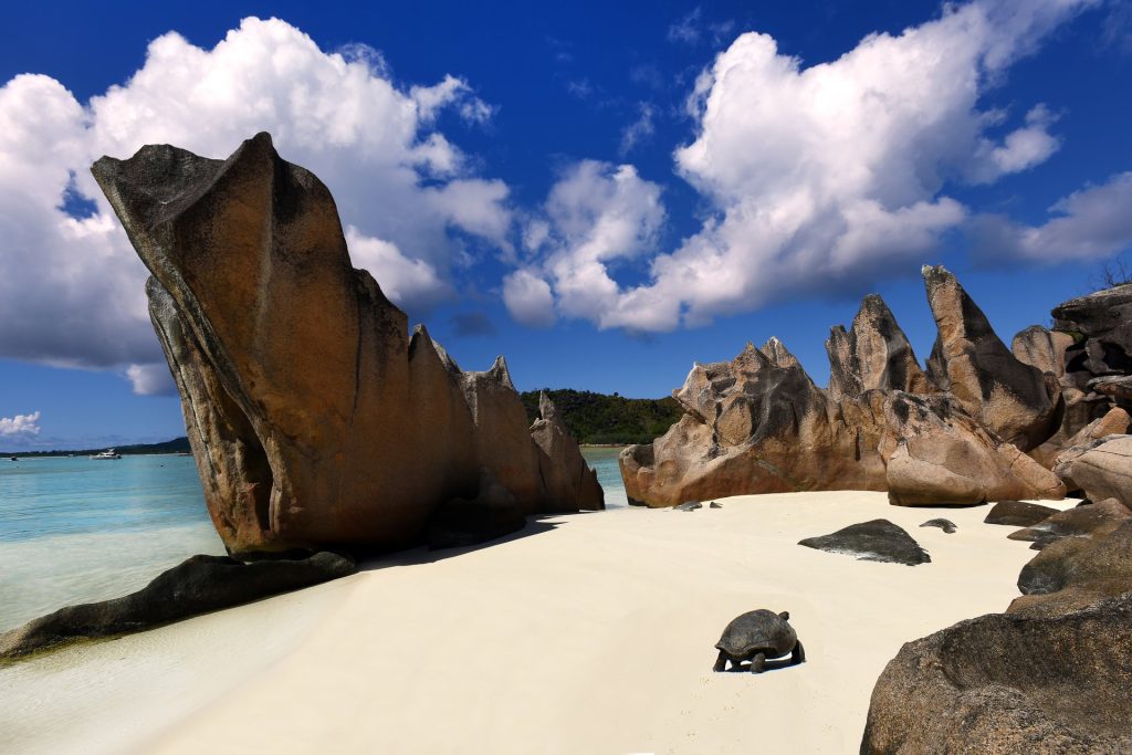 Plages de rêve sur l'île curieuse Seychelles