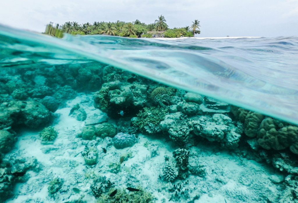 Les Seychelles : ses lagons turquoise et ses récifs coralliens intacts - Alizes Kreols
