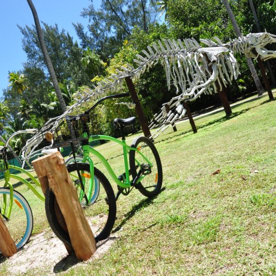 tourisme responsable et durable aux Seychelles avec les Alizés kreols