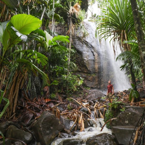 Cascades et forêts tropicales luxuriantes sur Mahé Seychelles